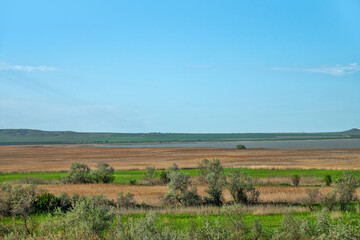 Fototapeta na wymiar Estuaries of the Sea of Azov shallow and overgrown with reeds. Taman Peninsula