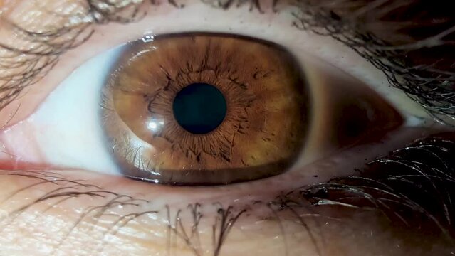 Close-up Macro shot of female brown eye open. Human eye iris opening pupil