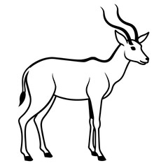 antelope (Aepyceros melampus) black and white vector 