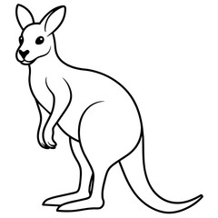 kangaroo illustration
