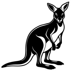 kangaroo illustration
