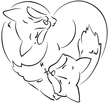 Two sleeping Foxes - outline Vector-Illustration of two cute animals forming a shape of heart
