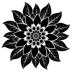    Flower vector illustration.
