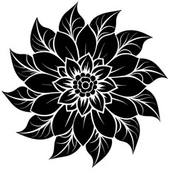    Flower vector illustration.
