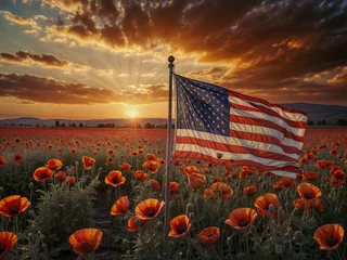 Fototapeten American flag on poppy field in the amazing sky sunset © Pham Ty