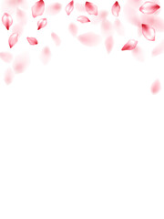 Pink sakura flower flying petals isolated on white vector background. - 783025402