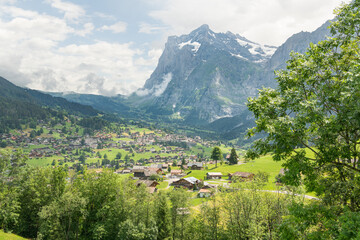 View on Grindelwald with alpine meadow in the foreground and the majestic Mittelhorn mountain in...