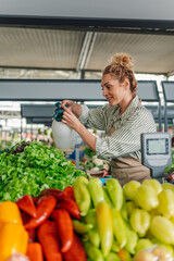 Farmer's market worker watering fresh organic vegetables at market.