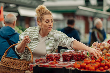 Shopper woman with basket choosing fresh tomato at green market.