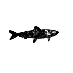 big sardine fish retro stock vector