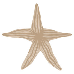 Brown Starfish Isolated on White.