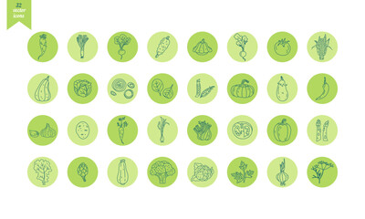  32 vector icons of vegetables outline in green circles