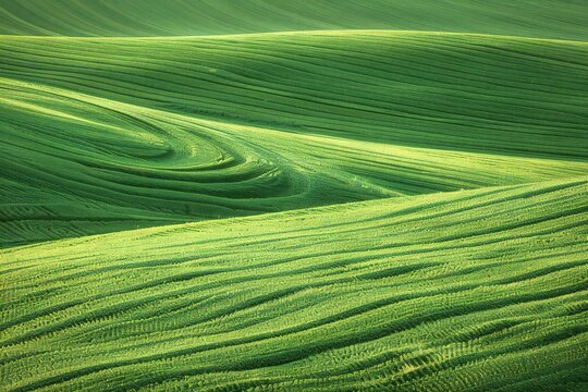Abstract image of a green field,  Tuscany, Italy