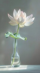 Obraz premium Lotus still life