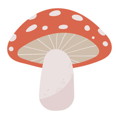 Mushroom vector illustration