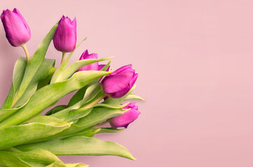 Bouquet of beautiful tulips on wooden background. Tulips on old boards