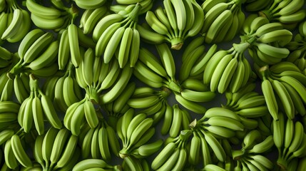 A Bunch of Green Bananas