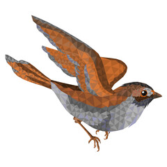 Small bird chick sparrow passer domesticus low-polygon vector illustration editable hand draw