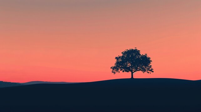Elegant minimalist illustration of a lone tree silhouetted against the sky