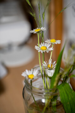 petites fleurs des champs cueillies et gardées dans un pot en verre avec de l'eau