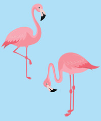 Obraz premium Couple pink flamingo, flamingo birds illustation