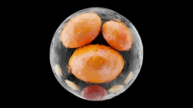 Fat cell isolated, Beige adipocyte and lipocyte, cholesterol in a cells, Beige fat cells, lipid droplet, 
 fat in human body, Obesity concept, dermis and hypodermis, nucleus, 3d render