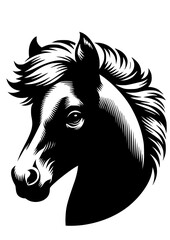 Horse svg, Foal svg, Foal Head svg, horse head svg, horse silhouette, horse lover svg, horseshoe svg, animal svg, horse riding svg, cricut silhouette cut files, SVG, JPG, PNG