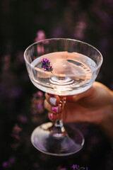 Hand girl holding glass of white wine with lavender sprig in purple lavender field. Cocktail in womans hand among violet flowers with sunlight on summer day. Provence. Romantic time at sunset. Closeup