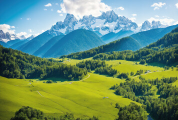 Obraz premium A green valley with mountains in the background.