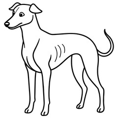      Dog vector illustration.

