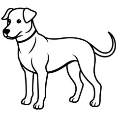      Dog vector illustration.
