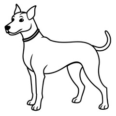      Dog vector illustration.
