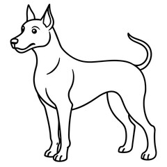      Dog vector illustration.
