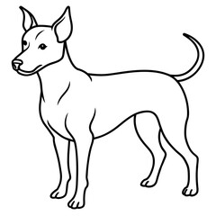      Dog vector illustration.
