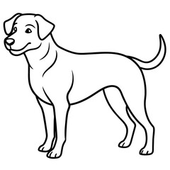      Dog vector illustration.
