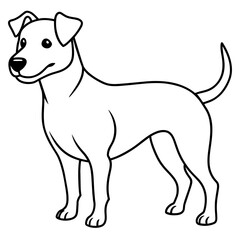      Dog vector illustration.
