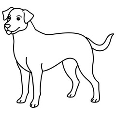      Dog vector illustration.
