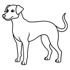      Dog vector illustration.
