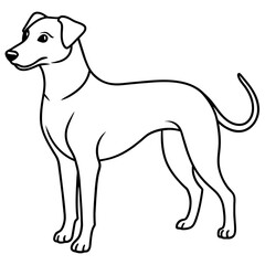      Dog vector illustration.
