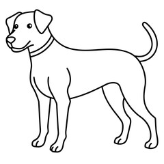      Dog vector illustration.
