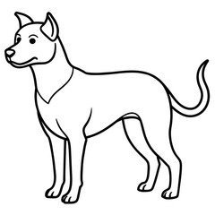      Dog vector illustration.
