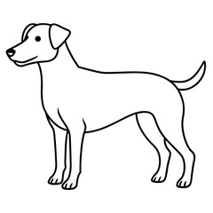      Dog vector illustration.
