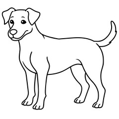      Dog vector illustration.
