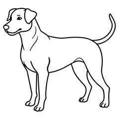      Dog vector illustration.

