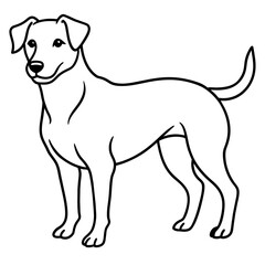      Dog vector illustration.
