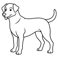      Dog vector illustration.
