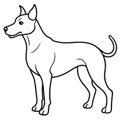      Dog vector illustration.
