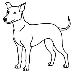      Dog vector illustration.
