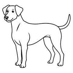      Dog vector illustration.
