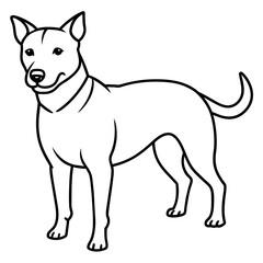      Dog vector illustration.
